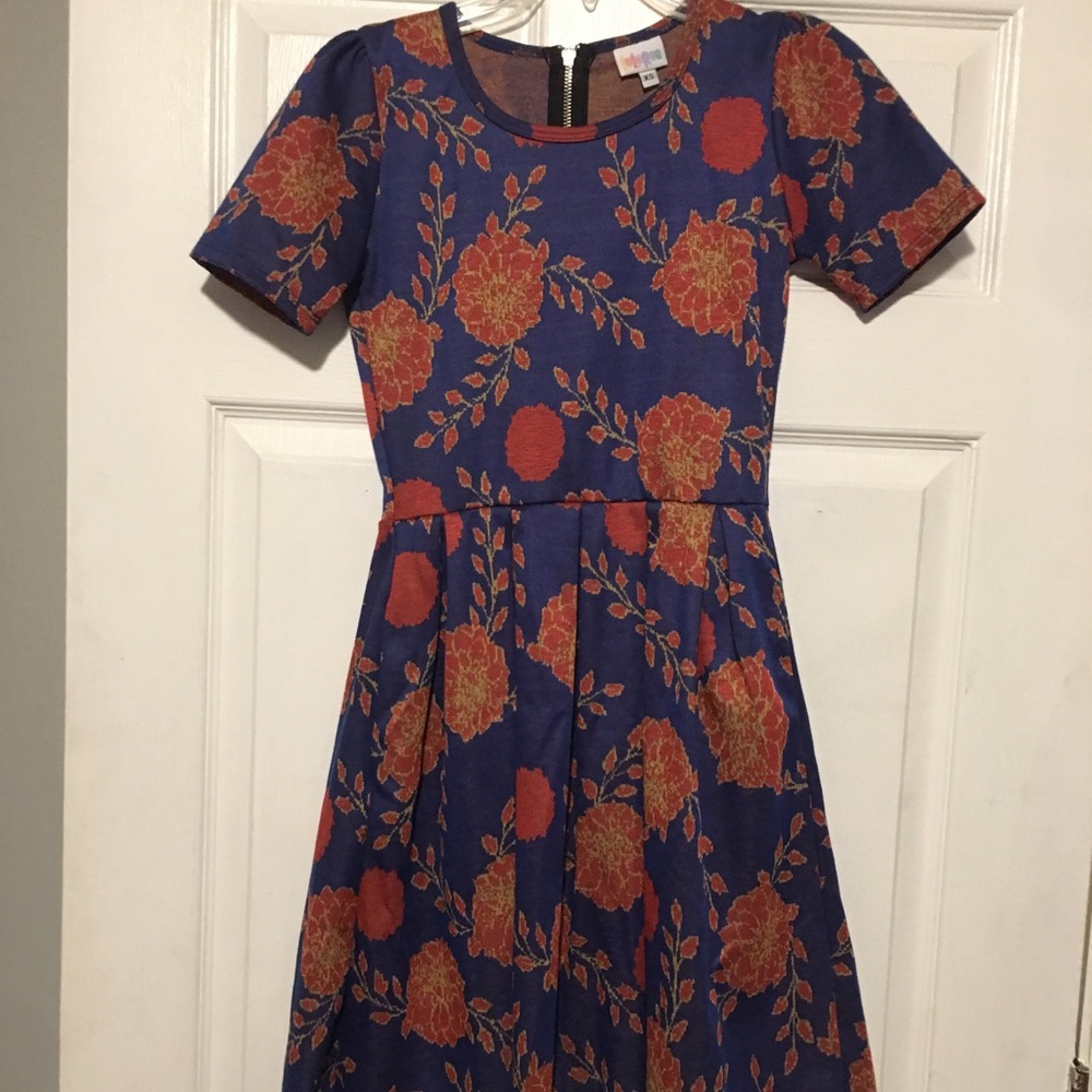 Lula Roe Amelia dress